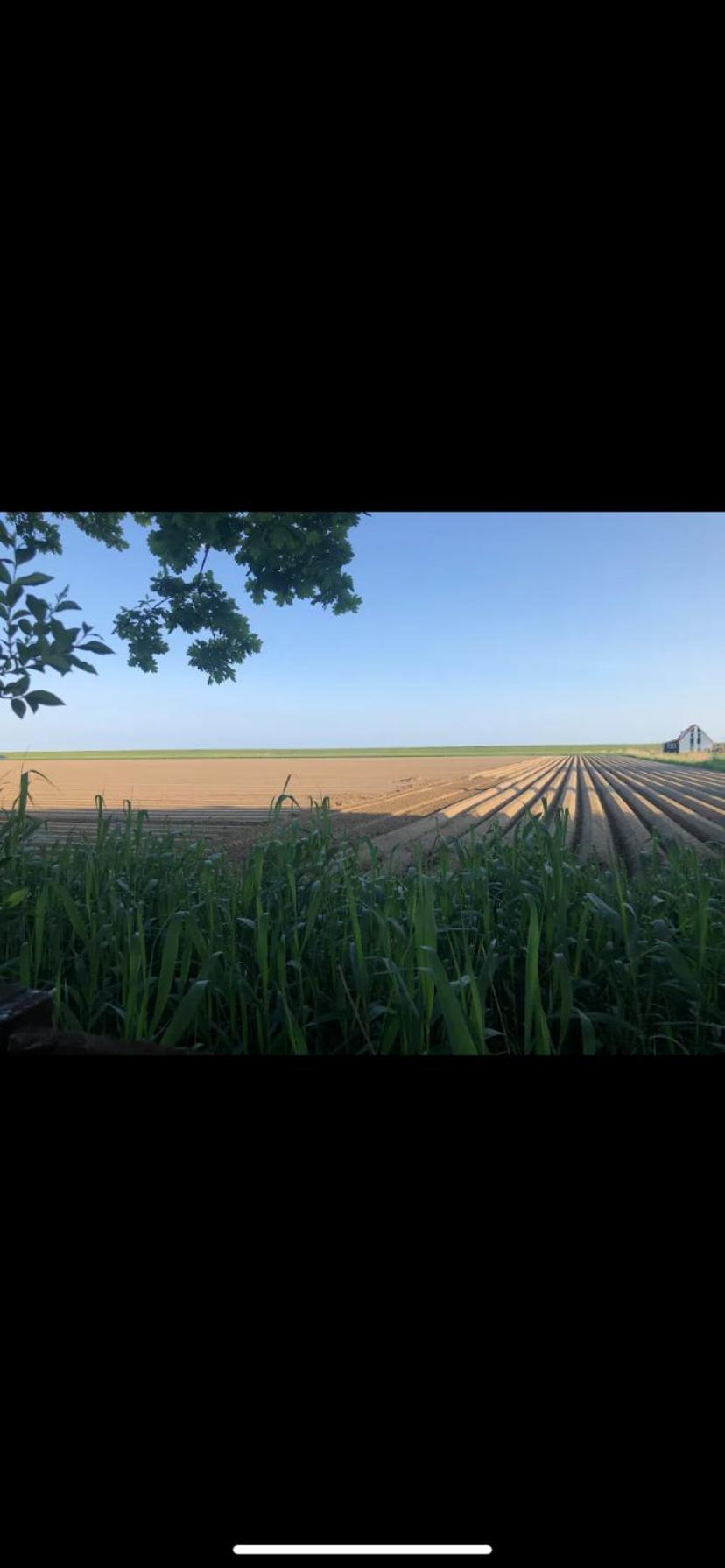 Stacaravan Het Zicht Scherpenisse Buitenkant foto